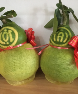 Cặp Bưởi Hồ Lô Tài Lộc VIP