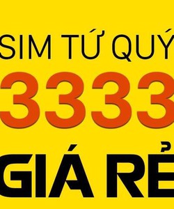Kho sim tứ quý 3333 đẹp giá sốc giao dịch nhanh toàn quốc