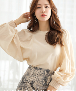 Áo sơ mi nữ hiệu Fiona thời trang Hàn Quốc