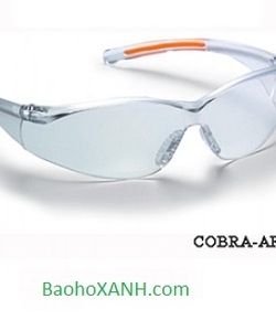 Bán kính bảo vệ mắt proguard COBRA AFC tại hải phòng