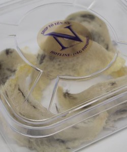 Tổ yến thô yến sào ít lông 50g