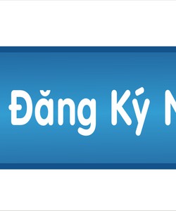 Bảo hộ tài sản trí tuệ một trong các vấn đề cần ưu tiên của startup