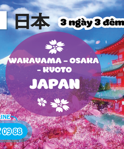 Nhật bản wakayama osaka 3 ngày 3 đêm