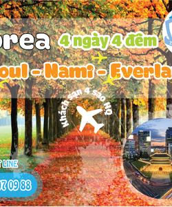 Hàn Quốc Seoul Nami Everland 4 ngày 4 đêm
