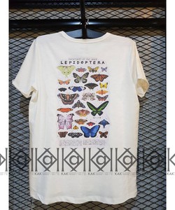 Áo In Hình Hai Mặt Bộ Sưu Tập Bướm