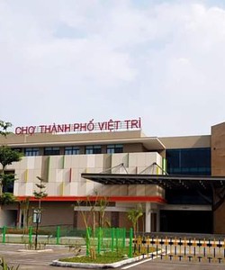 Bán nhà phố Kinh doanh tại dự án Trung tâm thương mại Chợ Việt Trì