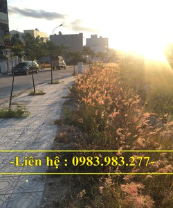 Hot Cần bán lô đất sạch trên đường T5 đường T12 , kđt An Bình Tân,nha trang giá rẻ