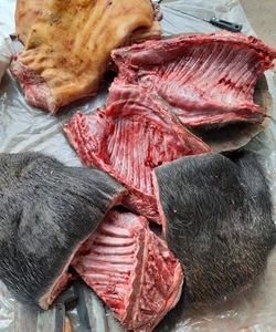 Chuyên cung cấp thịt rừng Campuchia
