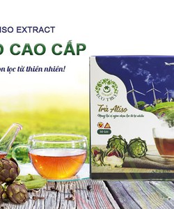 Trà Atiso túi lọc cao cấp hộp 50 gói 2g
