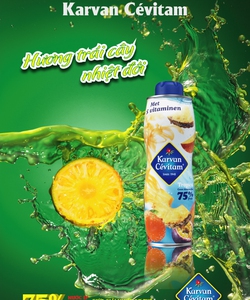 Nước Ép Trái Cây Nhiệt Đới Cô Đặc Hà Lan