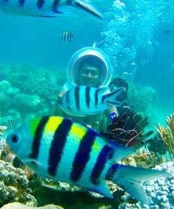 Tour Đi Bộ Dưới Biển Nha Trang 2019