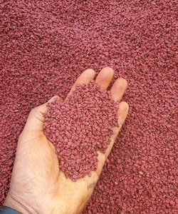 Chuyên cung cấp hạt điều màu với giá rẻ chất lượng tốt