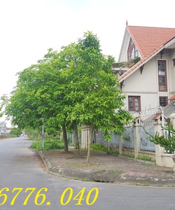 Bán gấp nhà 3 tầng 1 tum giá chỉ 1,69 tỷ