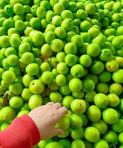 Táo gió Ninh Thuận