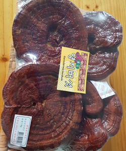 Nấm Linh Chi Đỏ Hàn Quốc 1kg