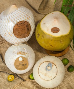 Nước Dừa Tươi VICONUT