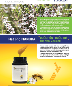 CPTM ProNZ phân phối mật ong Manuka cao cấp từ New Zealand
