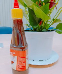 Yilin chuyên cung cấp các loại gia vị tương ớt, tương cà, sốt lẩu thái, mayonnaise,