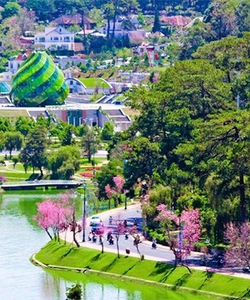 Tour Đà Lạt thành phố mộng mơ siêu hấp dẫn