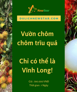 Vườn chôm chôm trĩu quả chỉ có thể là vĩnh long