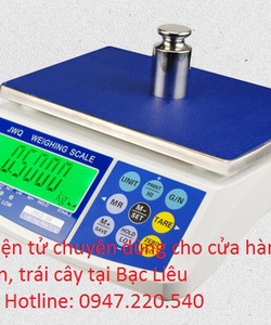 Nhận lắp đặt tận nơi trên toàn quốc Cân điện tử giá rẻ cho cửa hàng hải sản, trái cây tại Bạc Liêu