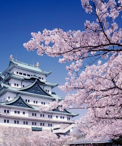 Đi Nagoya cùng Việt Today trải nghiệm tấm vé máy giá rẻ nhất chỉ có tại airvina.vn