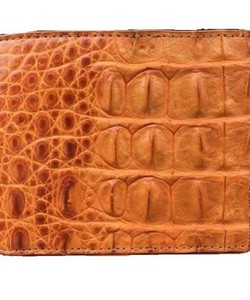 Ví nam da cá sấu màu vàng bò