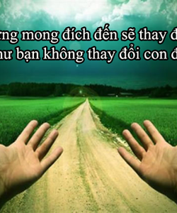 Chỉ còn 1 can duy nhất 2 mt đường đồng đen p.12 q.tân bình giá chỉ 295tr/m2.