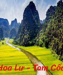 Tour ghép Ninh Bình 1 ngày: Hoa Lư Tam Cốc khởi hành hằng ngày