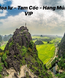Tour ghép Ninh Bình luxury 1 ngày: Hoa Lư Tam Cốc Hang Múa khởi hành hằng ngày