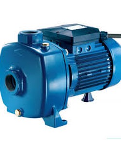 Máy bơm Pentax CMT 550 4kw giá rẻ