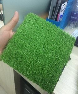 Cỏ Sân vường trang trí trên tường.