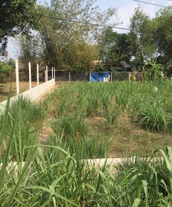 Đất Chơn Thành giá rẻ nhất thị trường hiện nay 250tr/500m2