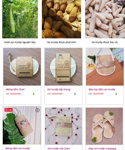 Xơ mướp Việt Nam, Xơ mướp tẩy trang