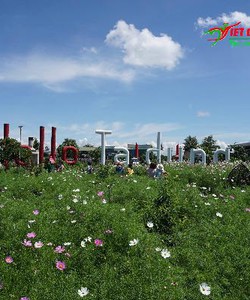 Tà Đùng: Vịnh Hạ Long của Tây Nguyên