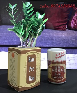 Kiện tỳ khai vị bổ hoàn