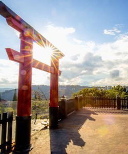 Tour du lịch FESTIVAL hoa Đà Lạt 3 ngày 3 đêm