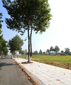 Bán gấp đất nền đất dự án KDC Ngân Thuận DT 94.5m2 đường 14m