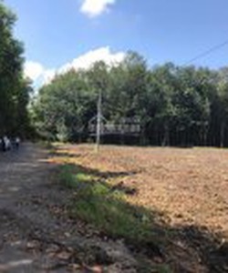 Bán đất nên giá rẽ ngay ngã 4 Chơn Thành 1000m2/450 tr