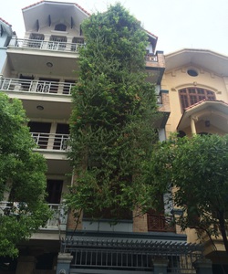 Nhà bán 60m2 x 5 tầng ô tô tránh, kinh doanh đỉnh, khu Trần Quang Diệu 10,8 tỷ ...