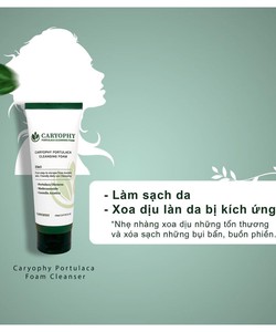 Công dụng tuyệt vời từ sữa rửa mặt Caryophy.