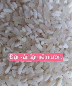 Gạo nếp nương