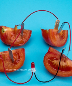 Bộ thí nghiệm đèn phát sáng từ trái cây