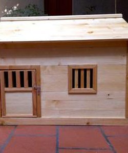 Khách sạn chó mèo là gì