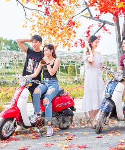 Xe ga Scoopy 50cc Việt Thái