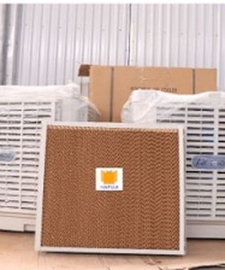 Cung cấp Tấm làm mát 5090 cho máy làm mát Air cooler 25000