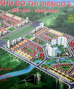 Bán đất liền kề Biệt thự dự án Cienco5 Huyện Mê Linh