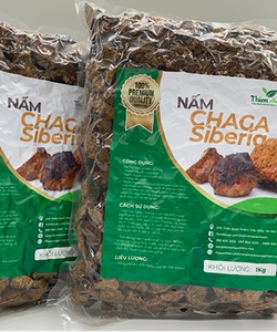 Nấm chaga siberia chuẩn từ Nga