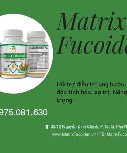 Bạn biết gì về Matrix Fucoidan