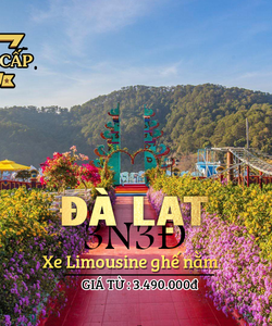 Tour Đà Lạt 3n3đ bằng xe Limosine